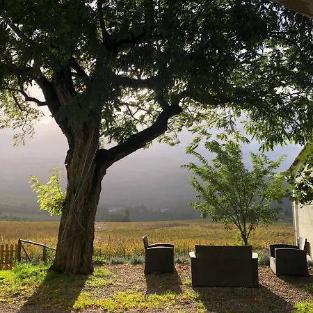 Azienda Agricola Il Poggiolino Farm stay
