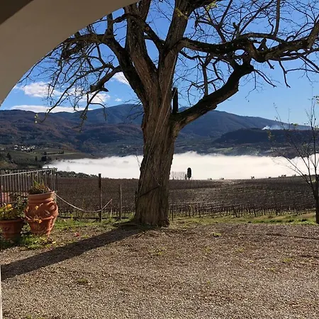 Azienda Agricola Il Poggiolino Farm stay Pelago