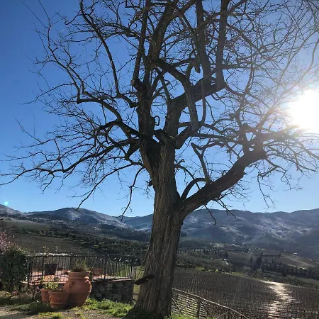 Azienda Agricola Il Poggiolino