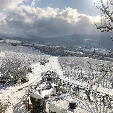 Azienda Agricola Il Poggiolino Farm stay *