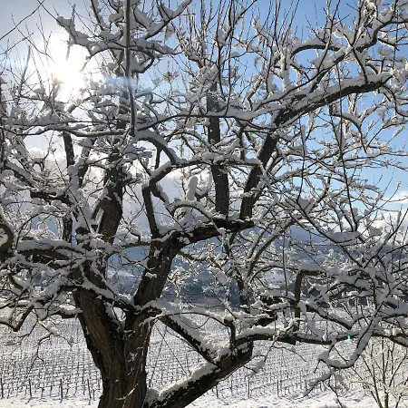 Azienda Agricola Il Poggiolino * Pelago