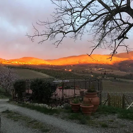 Azienda Agricola Il Poggiolino