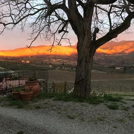 Azienda Agricola Il Poggiolino Farm stay Pelago