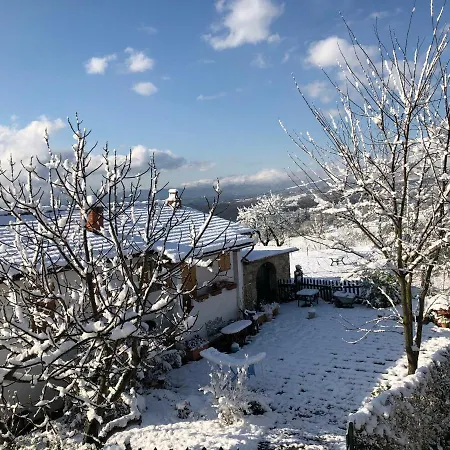 Azienda Agricola Il Poggiolino * Pelago