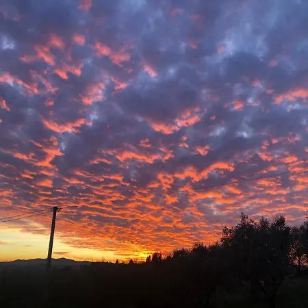 Azienda Agricola Il Poggiolino Farm stay *
