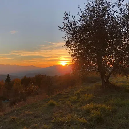 Farm stay Azienda Agricola Il Poggiolino Pelago