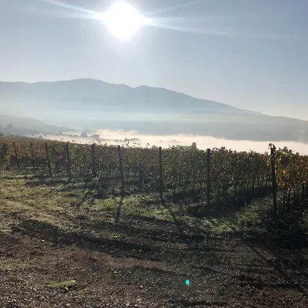 Azienda Agricola Il Poggiolino Farm stay