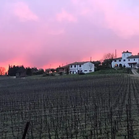Farm stay Azienda Agricola Il Poggiolino Pelago