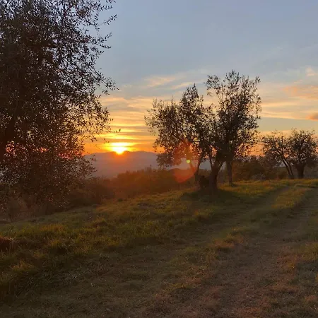 Farm stay Azienda Agricola Il Poggiolino Pelago